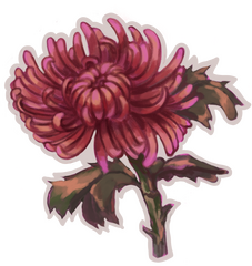 A colouring pencil styled digital drawing of a chrysanthemum